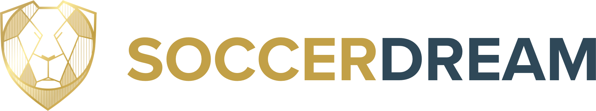 Soccerdream Logo